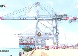 Việt Nam Logistics: Doanh nghiệp gặp khó vì bị chậm hoàn thuế VAT