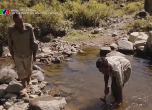 Insight into Vietnam: Lan tỏa giá trị văn hóa truyền thống