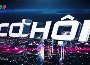 Cơ hội cho ai 2023 - Số 15