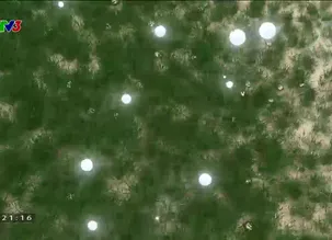 Chị đẹp đạp gió rẽ sóng - Số 14 - 27/01/2024