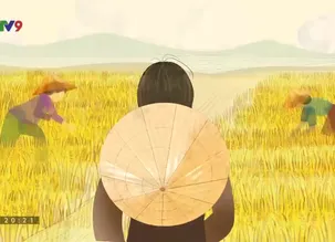 Đệ nhất mưu sinh - Tập 25