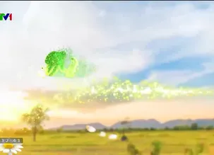 Vì cộng đồng - 11/02/2024