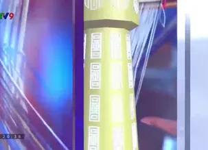 Rong ruổi phương Nam: 	Xanh mát làng bưởi Tân Triều