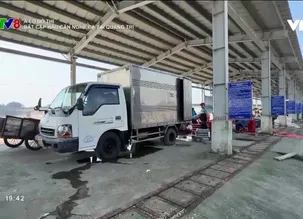 A lô Đô thị: Bất cập hậu cần nghề cá tại Quảng Trị