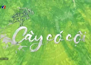 VTV2 đặc biệt: Cây có cội