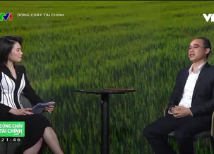 Dòng chảy tài chính - 20/4/2024