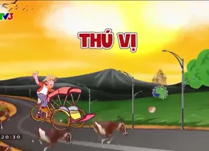 Nhập gia tùy tục - 22/4/2024