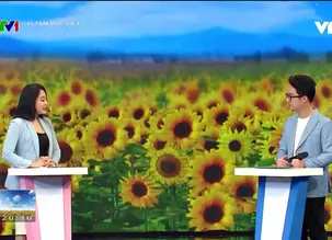 Vì tầm vóc Việt - 27/4/2024