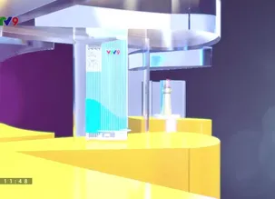 Rong ruổi phương Nam: Chợ hoa Hồ Thị Kỷ - Điểm đến hấp dẫn du khách