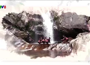 Sự sống diệu kỳ: Nặng lòng với Ta lêu, Ca choi