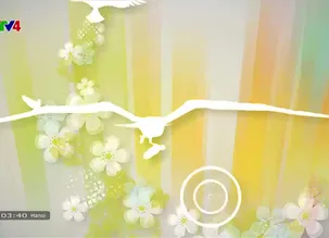 Cuộc sống vẫn tươi đẹp: 	Con đường tôi đi