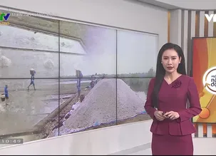 Miền Tây Năng động: Bạc Liêu - Số 3