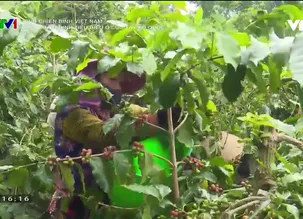 Cựu chiến binh Việt Nam: Cựu chiến binh tiêu biểu ở cực Tây Tổ quốc