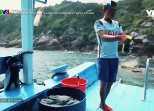 Vietnam Discovery: Công tác bảo tồn, gìn giữ và phục hồi thiên nhiên tại Cù Lao Chàm