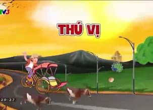 Nhập gia tùy tục - 20/5/2024