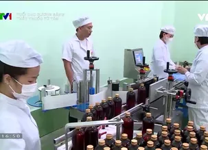 Tuổi cao gương sáng: Thầy thuốc từ tâm