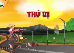 Nhập gia tùy tục - 27/5/2024