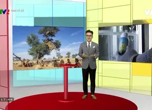 Kinh tế số 2024 - Số 4