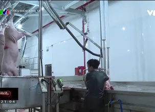 Tiêu điểm kinh tế - 30/5/2024