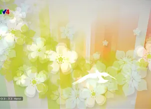 Cuộc sống vẫn tươi đẹp: 	Con đường tôi đi