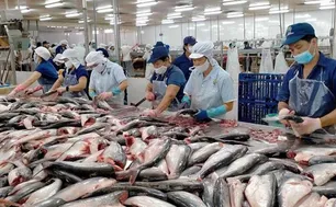 Cao điểm gỡ thẻ vàng thủy sản