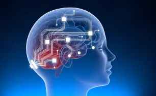 Chip não của Neuralink có thể bị hack?