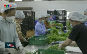 Trung Quốc yêu cầu xác nhận từ cơ quan thẩm quyền với 20 nhóm nông sản