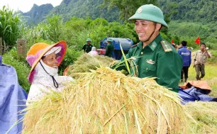 Bộ đội biên phòng gặt lúa chạy lũ cho đồng bào biên giới