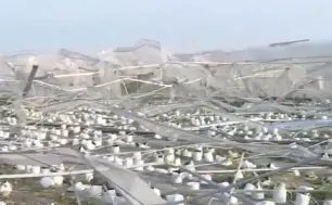 Sản xuất nông nghiệp khẩn trương khắc phục hậu quả sau bão