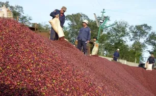 Kim ngạch xuất khẩu hàng hóa sang Nhật Bản đạt hơn 16 tỷ USD