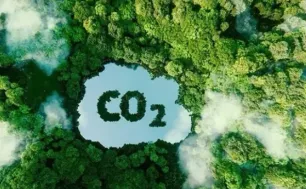 World Bank sẽ mua tín chỉ carbon ngành lúa gạo