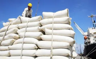 Xuất khẩu gạo vượt 4 tỷ USD