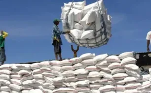 Giá gạo xuất khẩu của Việt Nam tăng