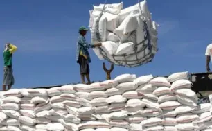 Việt Nam trúng 2 lô đấu thầu gạo Indonesia