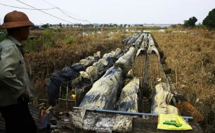 Khắc phục hậu quả bão lũ, khôi phục sản xuất kinh doanh