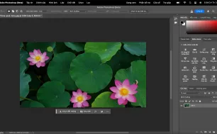 Photoshop đã hỗ trợ tiếng Việt