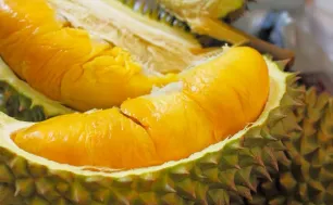 Cấp đông sầu riêng giúp giảm áp lực mùa vụ
