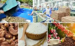 Xuất khẩu nông lâm thủy sản sớm cán đích 55 tỷ USD