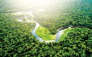 Microsoft đạt thỏa thuận kỷ lục mua 2,85 triệu tín chỉ carbon