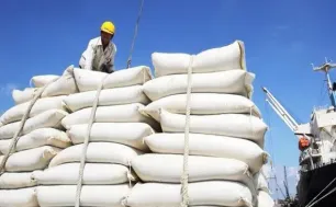 163 thương nhân đủ điều kiện kinh doanh xuất khẩu gạo
