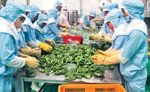 Nông sản Việt chinh phục thị trường châu Á