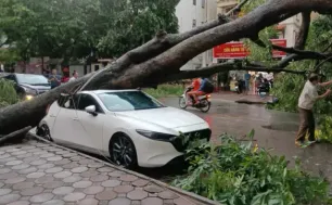 Hơn 11.600 tỷ đồng chi trả bồi thường bảo hiểm do bão số 3 và lũ lụt gây ra