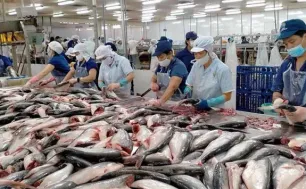 Xuất khẩu thủy sản quay lại đà tăng trưởng