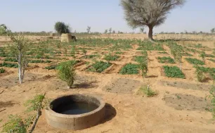 EU đồng thuận về tài chính khí hậu trước thềm COP29