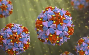 AI giúp phát hiện hơn 160.000 loại virus mới