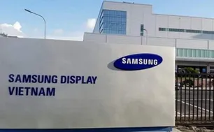 Samsung Việt Nam tăng trưởng doanh thu nhưng lợi nhuận sụt giảm mạnh