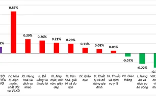 Giá điện, nhà ở thuê tăng kéo CPI tháng 11 nhích nhẹ 0,13%