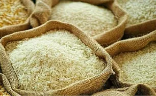 Gạo Việt giữ lợi thế ở phân khúc cao cấp