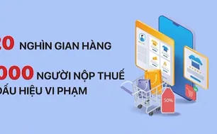 Hà Nội phát hiện hơn 2.000 vụ trốn thuế trong kinh doanh online