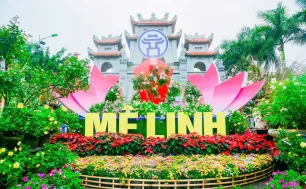 Hà Nội tổ chức lễ hội hoa lớn nhất miền Bắc liên tiếp 4 ngày